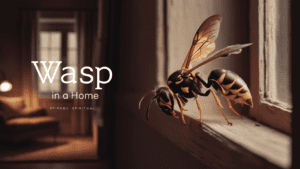 symbolic meaning of wasps indoors