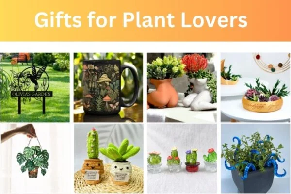 Gifts for Plant Lovers