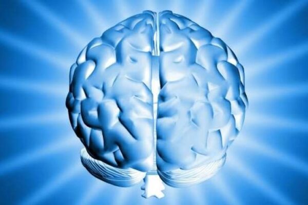 Neuro-Thrive Brain Support Review – Brain Booster? May 2025 Neuro-Thrive Brain Support Review - Brain Booster? May 2025