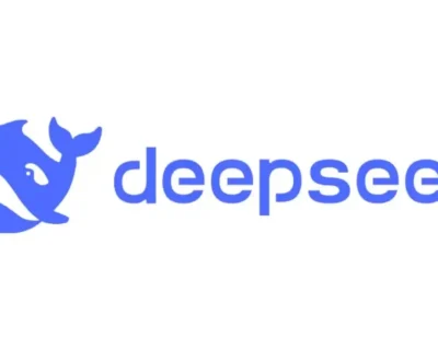 Try-DeepSeek-AI